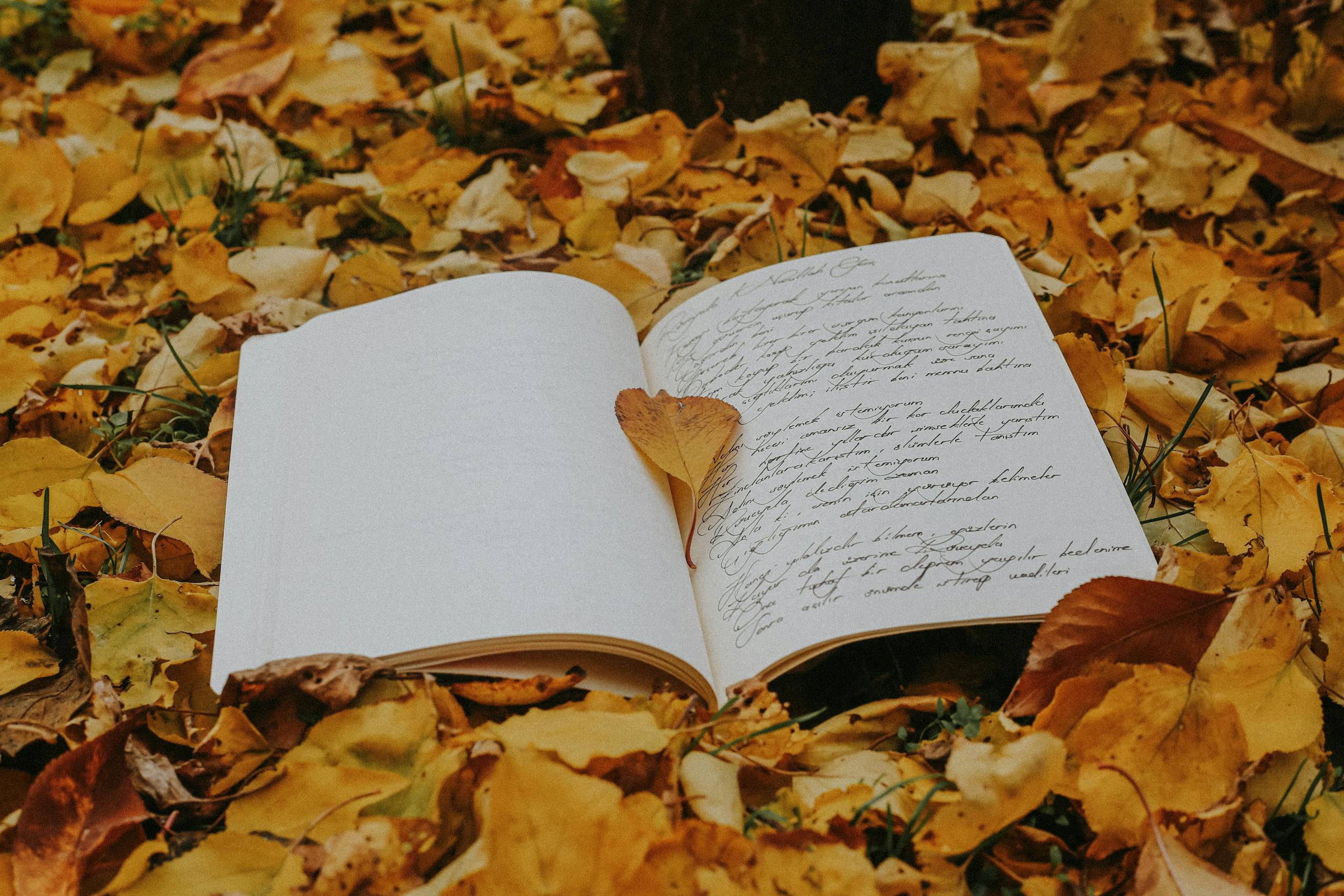 Open book resting on a bed of autumn leaves, offering a perfect blend of nature and literature.